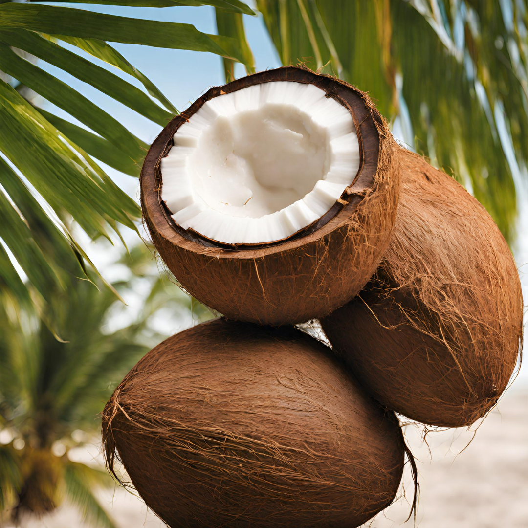 Read more about the article Coconut Innovations: Sustainable Products shaping the Future